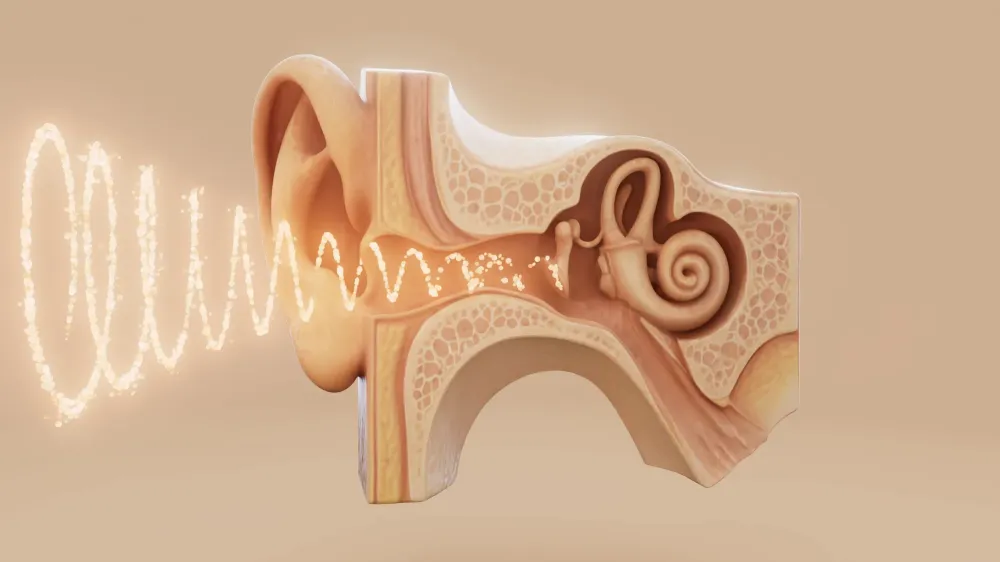 surdite oreilles illustration